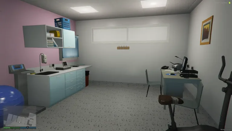 pillbox & central ls medical center fivem mlo gta v